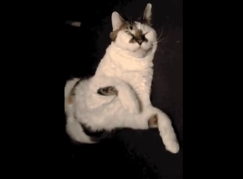 1-й рабочий день после отпуска