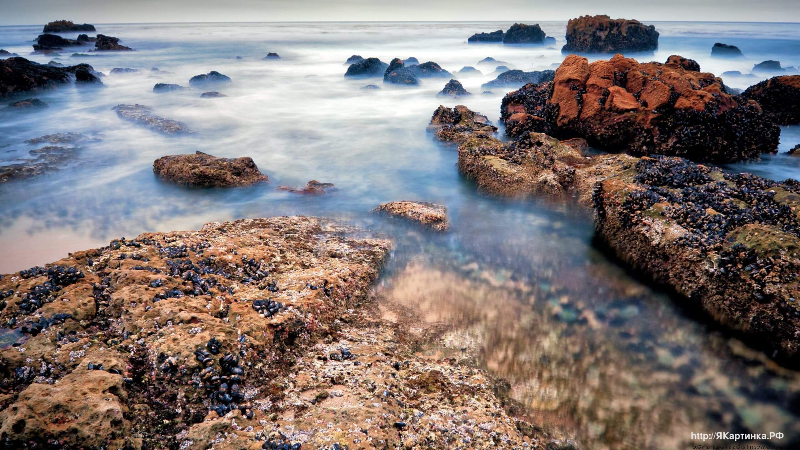 Море Океан Озёро