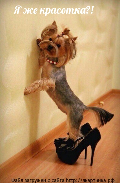 Немного о современной  моде...