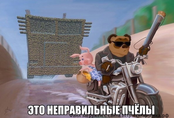 Винни пух и пятачок