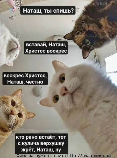 Наташа в апреле 2020