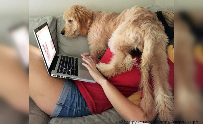 работа на удалёнке