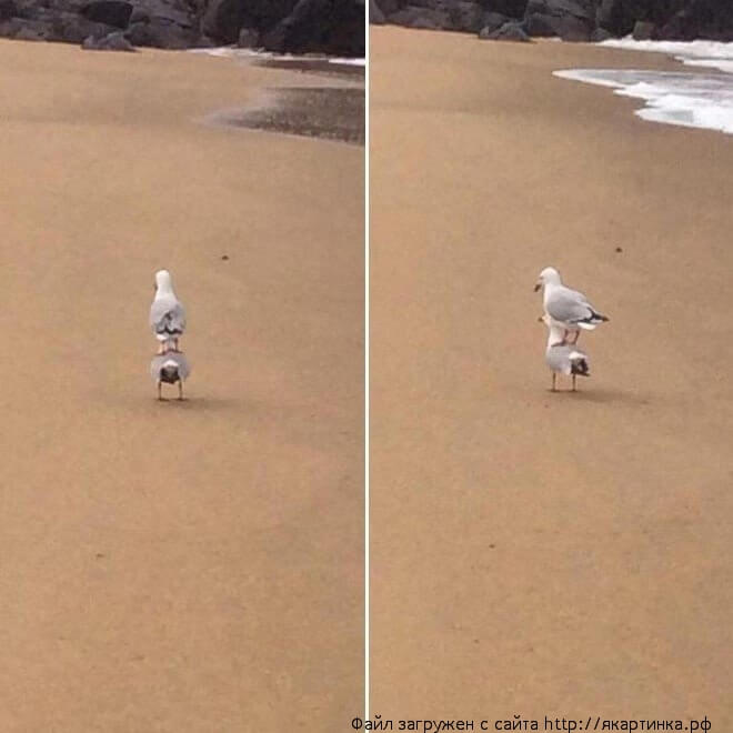 Тaкcи, тaкcи, вeзи, вeзи...