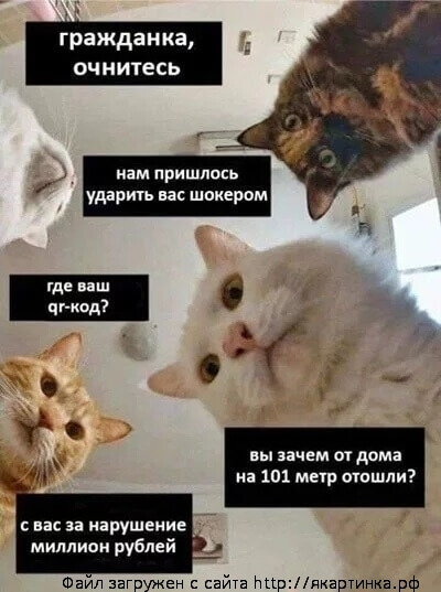 Наташа в апреле 2020