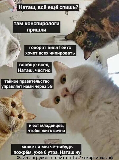 Наташа в апреле 2020