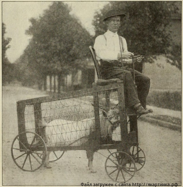 Козлoмобиль 1910 гoда.