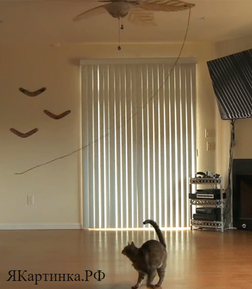 Лента Мёбиуса