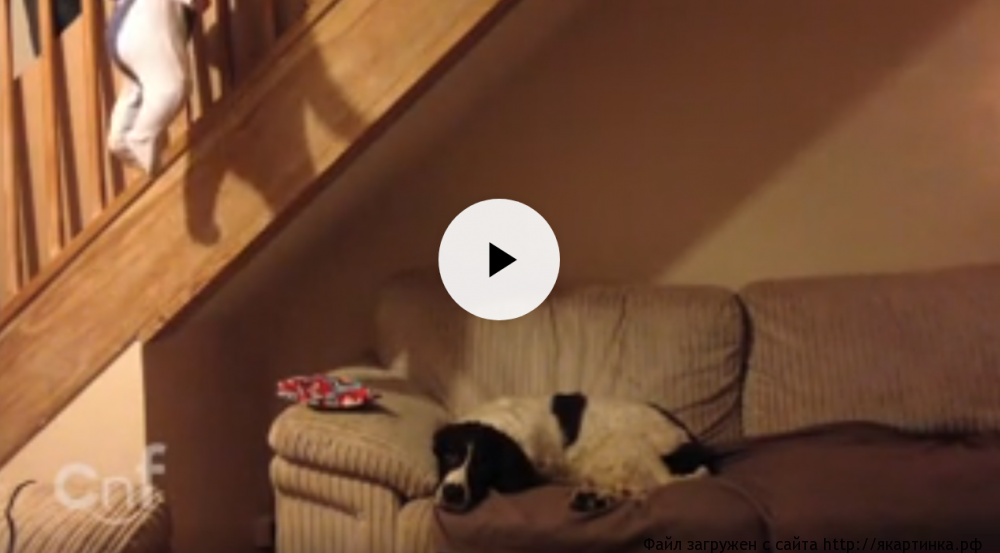 Оставила ребёнка с папой