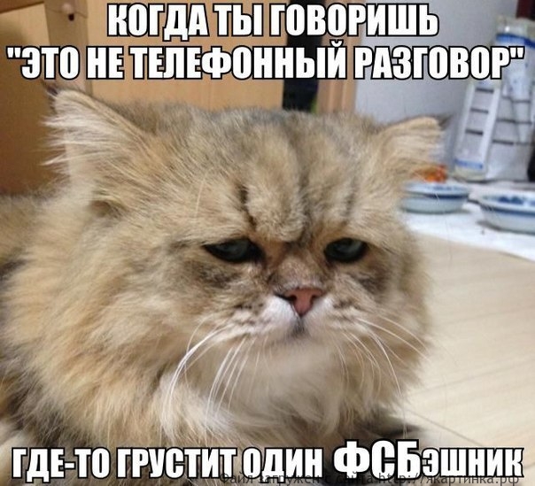 не телефонный разговр