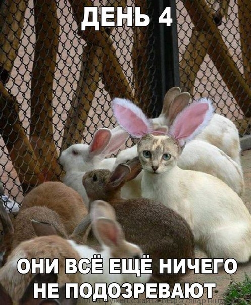 Ничего не подозревают