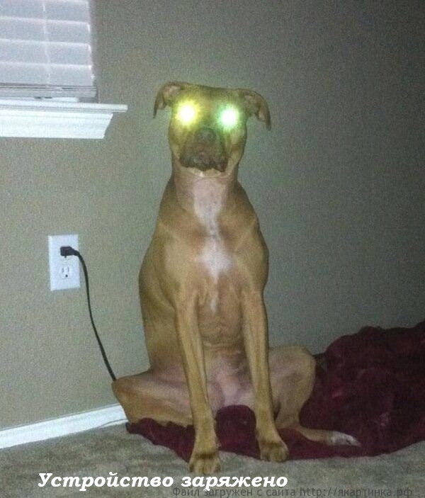 Устройство заряжено