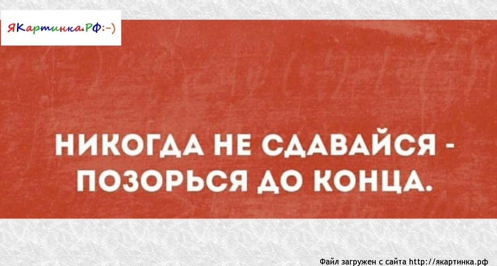 Никогда не сдавайся позорься до конца картинка смешные с надписями