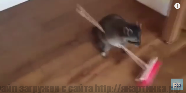 Лучшие приколы Апреля 2017. Лучшие приколы Апреля 2017.