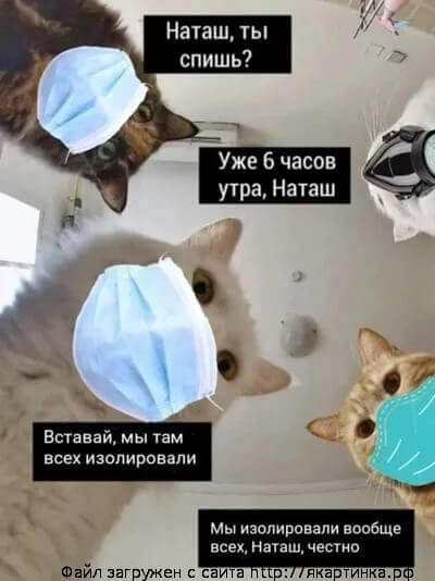 Наташа в апреле 2020 Наташа в апреле 2020